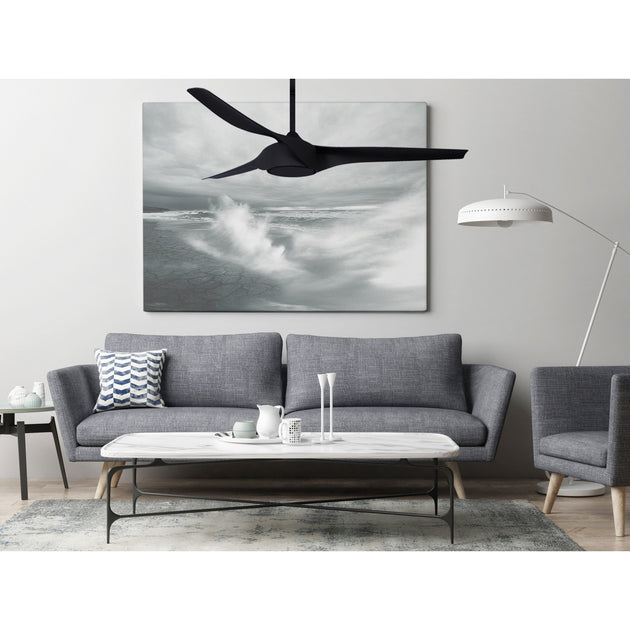 New Arrivals – Star Fans